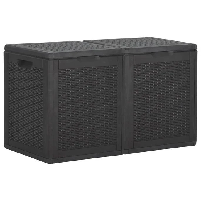 Boîte De Rangement De Jardin 180 L Noir PP