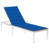 Chaise Longue Avec Coussin Bois D'acacia Et Acier Inoxydable 3