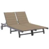 Chaise Longue De Jardin 2 Places Avec Coussin Gris Acacia 8