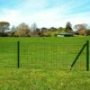 Clôture Euro Acier 25 X 0,8 M Vert 2