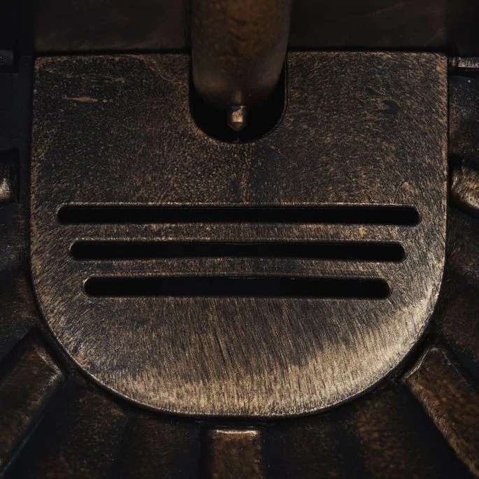 Fontaine Murale Design De Tête De Lion Bronze – Image 3