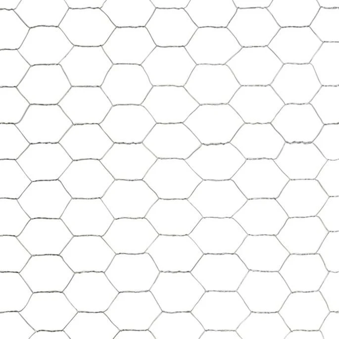 Grillage Pour Volière Acier Galvanisé 25x1,75 M Argenté 3 – Image 4